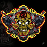DWR9 emblem