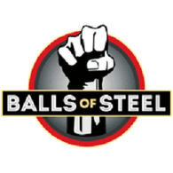 BZD_T emblem