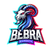 B-BRA emblem