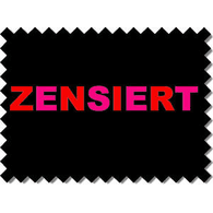 GEWI emblem