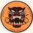BG_ST emblem
