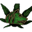 420UA emblem