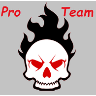 6PRO6 emblem