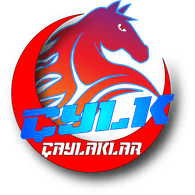 CYLK emblem