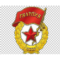 DM_CZ emblem