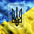 SLUA emblem