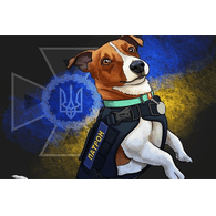 UDSNS emblem
