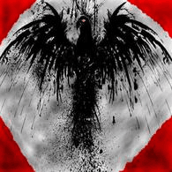 8RCS emblem