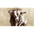 HUE emblem