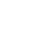 VOIDS emblem