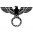 BRAUN emblem