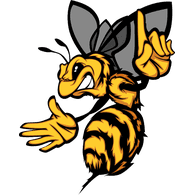 N-V-A emblem