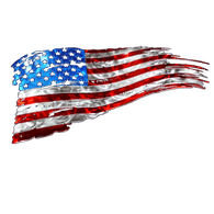 U_S_A emblem