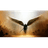 NEW10 emblem