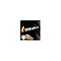 XKS emblem
