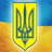 3CY95 emblem