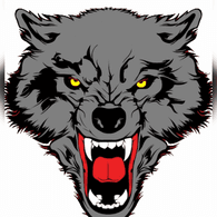 WSW_ emblem
