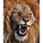 KUSKU emblem