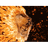 LI_ON emblem