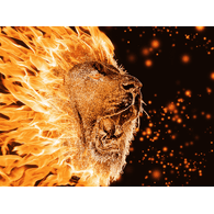LI_ON emblem
