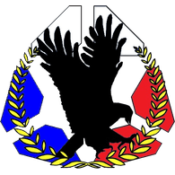VLAST emblem