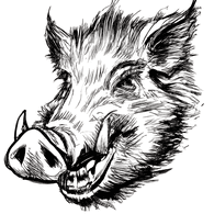 RN_PL emblem