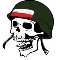 NLSA emblem