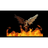 FRBC emblem