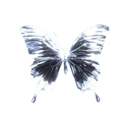 CELES emblem