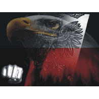 Z_O emblem