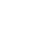 FERZY emblem