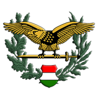 11MHZ emblem