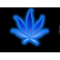 B0-TM emblem