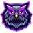 27CM emblem