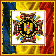 RSF emblem