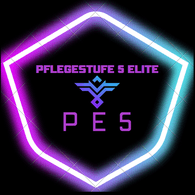P5E emblem
