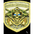 D_S_T emblem