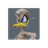 L3NOO emblem