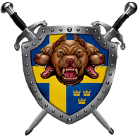 V24 emblem