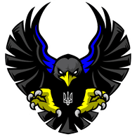 _HAWK emblem