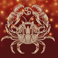 NENUB emblem