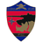 1-ECC emblem