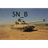 SN_B emblem