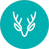 SOTF- emblem