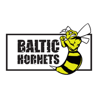B-HNS emblem