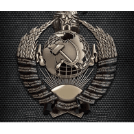 ROKOT emblem