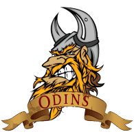 ODINS emblem