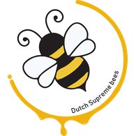 DSBEE emblem