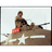 GPATB emblem