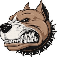 JAVRE emblem